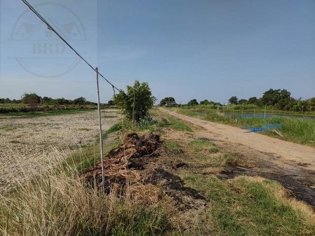 ขายที่ดินทำเลสร้างโกดัง โซนนิคมเอเชียสุวรรณภูมิ – บางบ่อ สมุทรปราการ เนื้อที่ 2 ไร่ ขายไร่ละ 2.5 ล้าน อ.บางบ่อ สมุทรปราการ 11