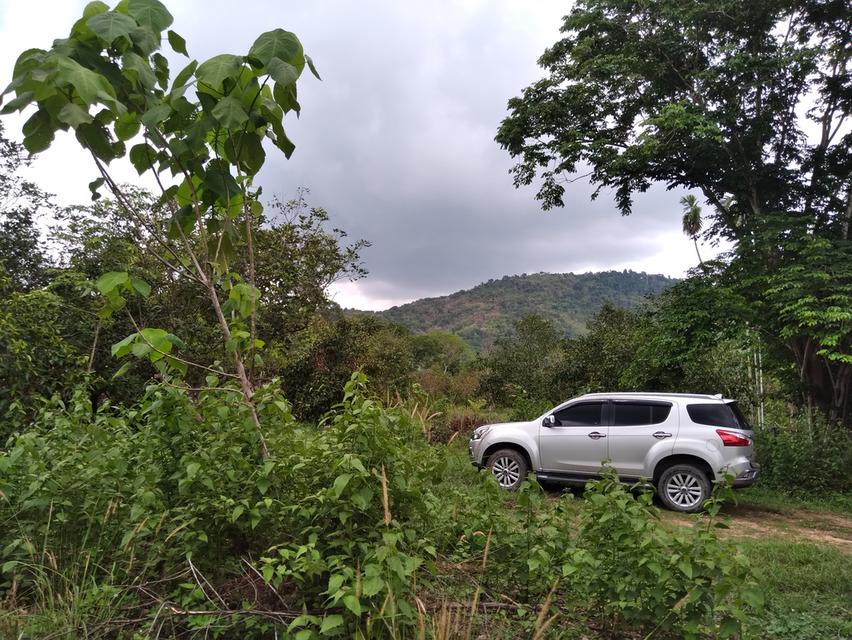 ที่สวนพร้อมอ.เมือง จ.ระยอง 9