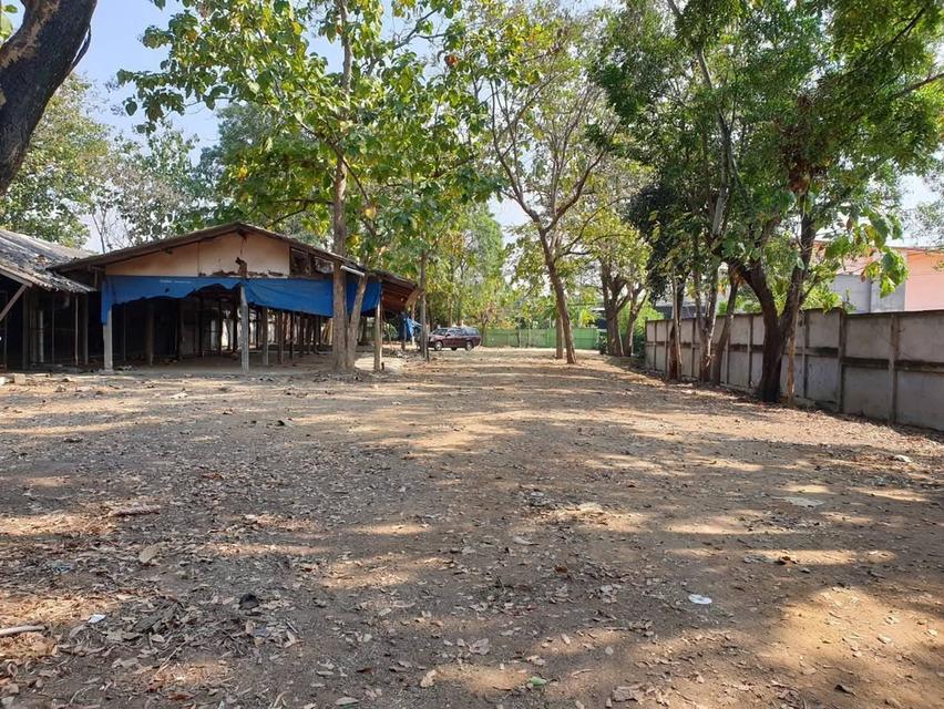 ขายที่ดินบ่อสร้าง ต้นเปา จ.เชียงใหม่ 5 ไร่ 2 งาน 52 ตรว. 2