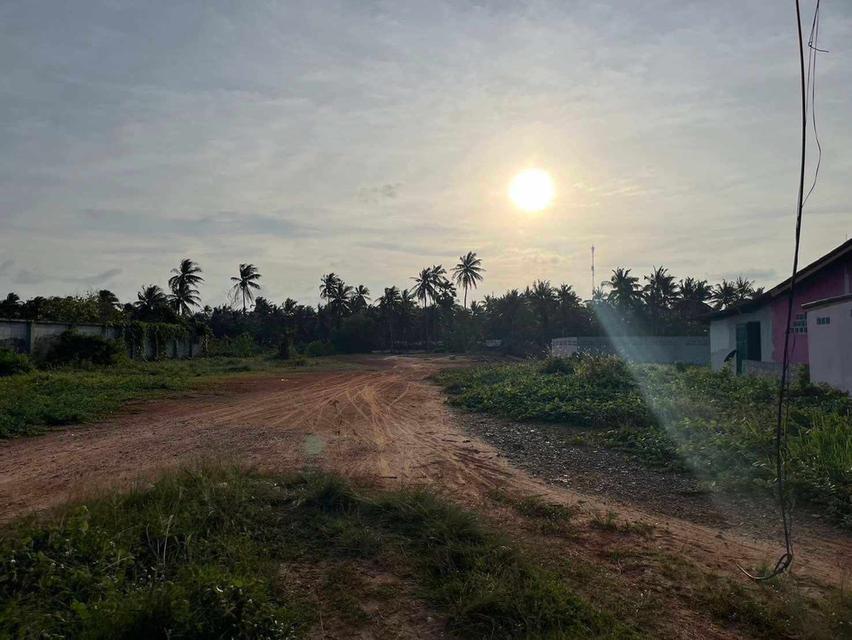  ที่ดินสวยๆ ใกล้หาดบ่ออิฐ ตำบลเกาะแต้ว อำเภอเมือง จังหวัดสงขลา  ที่ดิน 2 ไร่ ฉโนด ครุฑแดง  ถมเต็มพื้นที่ มีกำแพงกันดินสไลด์ ราคา 3.5 ล้าน 5