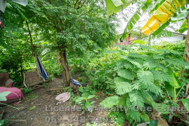 ขายที่ดินถมแล้ว ซอยเวิร์คพอยท์ บางพูด เมืองปทุมธานี 5