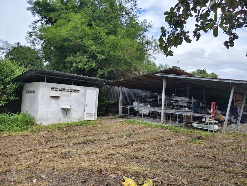 ที่ดินพร้อมอาคาร ห้องแถว โกดังเก็บของ 8