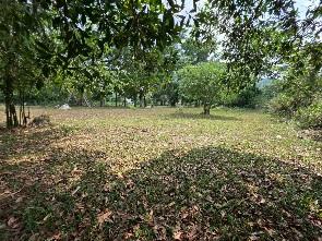 Land for Sale in kathu Phuket 7