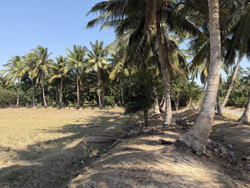 ขายที่ดินแปลงนี้ 16ไร่1งาน76ตรว ต.หนองตาแต้ม อ.ปราณบุรี จ.ประจวบคีรีขันธ์ ที่ดินติดถนน ติดภูเขา 7