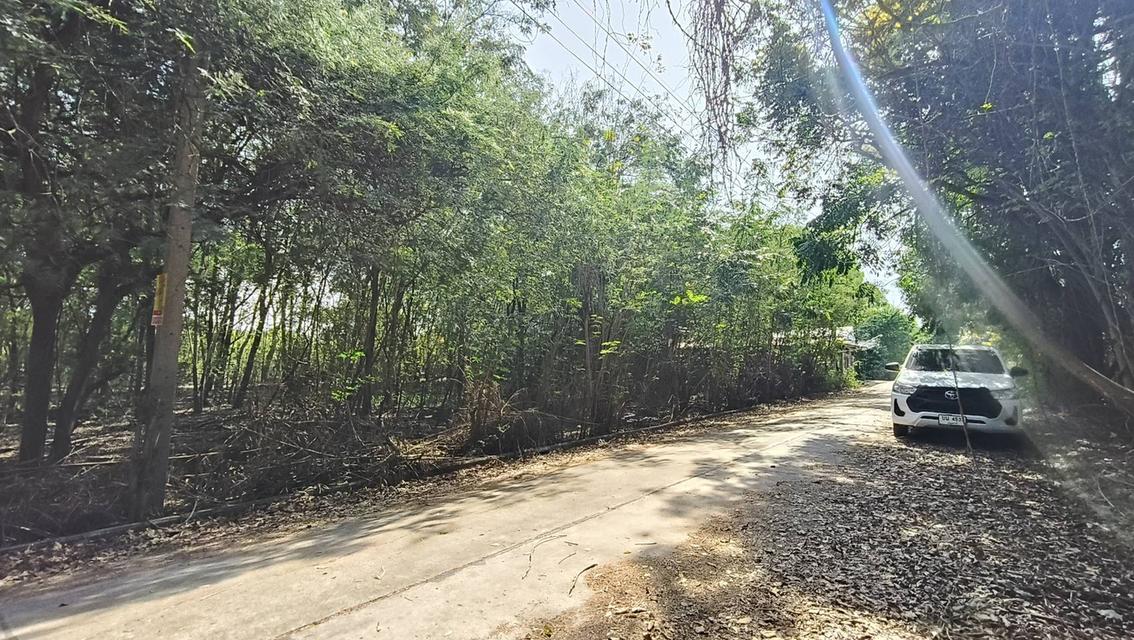 ขายที่ดินถมแล้ว 68ตรว. 450,000 บาท ลาดหลุมแก้ว 4