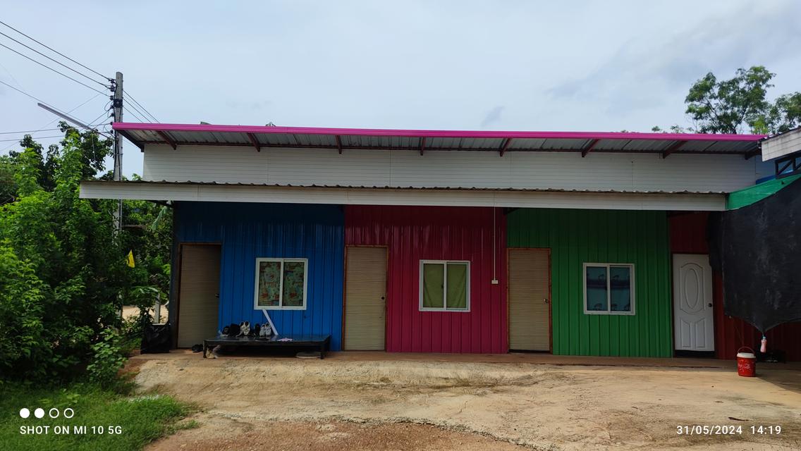 บ้านสวนและที่ดินเปล่า 18