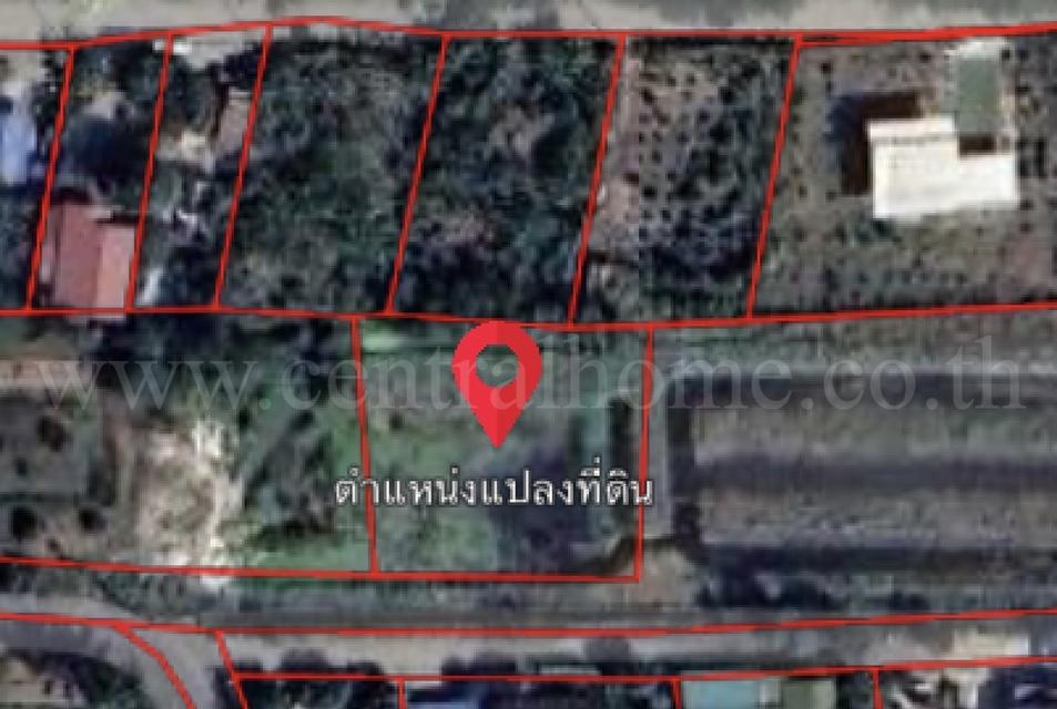ที่ดินเปล่า 266 ตร.วา ท่าอิฐ 15 แยกตาลเดียว - วัดบางบัวทอง นนทบุรี 5