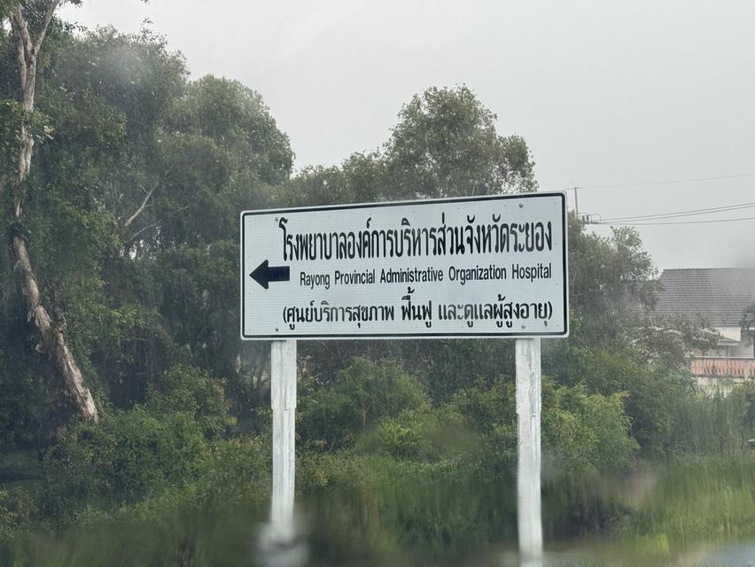 ขายที่ดินระยอง 13