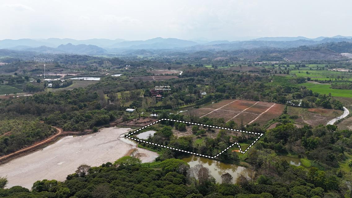 ประกาศขายที่ดิน ทำเลศักยภาพ ใกล้ไร่ชาฉุยฟง ตำบลศรีค้ำ อำเภอแม่จัน จังหวัดเชียงราย 57110 9