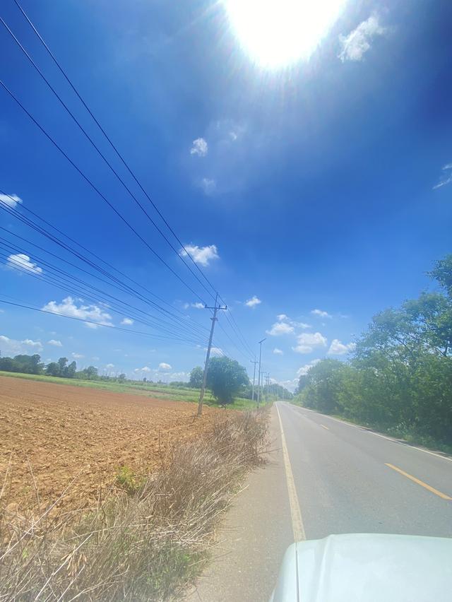 ขายที่ดินเปล่าติดถนน 3