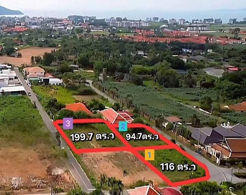 ขายที่ดินเปล่า แปลงสวยติดถนนสองด้าน บางเสร่ ชลบุรี 14