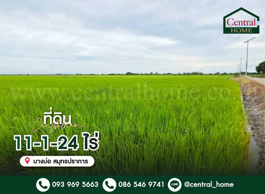 ที่ดินเปล่า 11-1-24 ไร่ คลองนิยมยาตรา บางบ่อ สมุทรปราการ 1