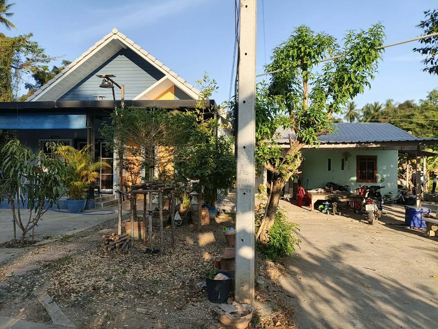 ที่ดินและบ้านพร้อมอยู่ 1