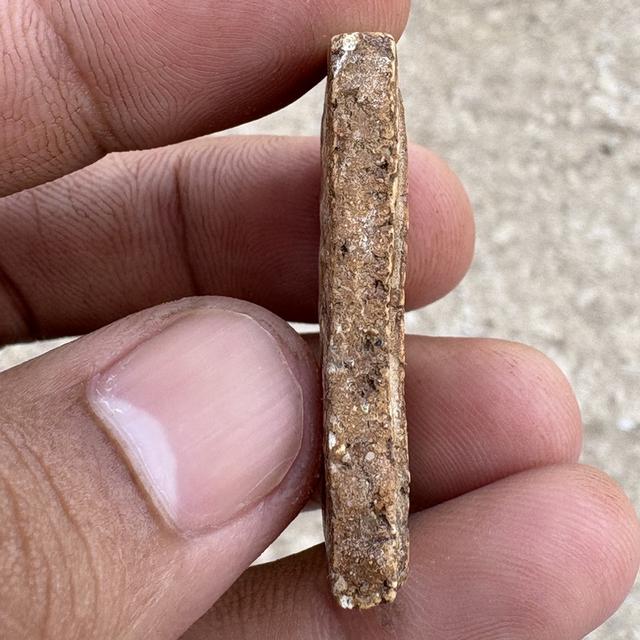 พระสมเด็จวัดระฆัง กรุงเทพ รูปที่ 4