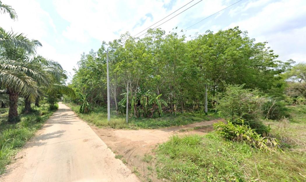 ขาย ที่ดิน ME374 เขตเทศบาล บ่อทอง ชลบุรี บรรยากาศบ้านสวน ติดถนนสาธารณะ ทำเลดี ราคาถูก ขนาด 2 ไร่ 2 งาน 64.2 ตรว ใกล้ตลาด 2