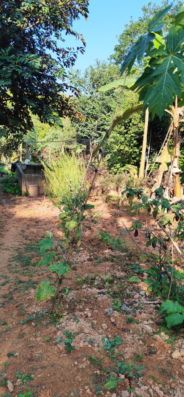 บ้านพร้อมที่ดินใกล้ตัวเมืองเชียงราย ใกล้วัดห้วยปลากั้ง 13