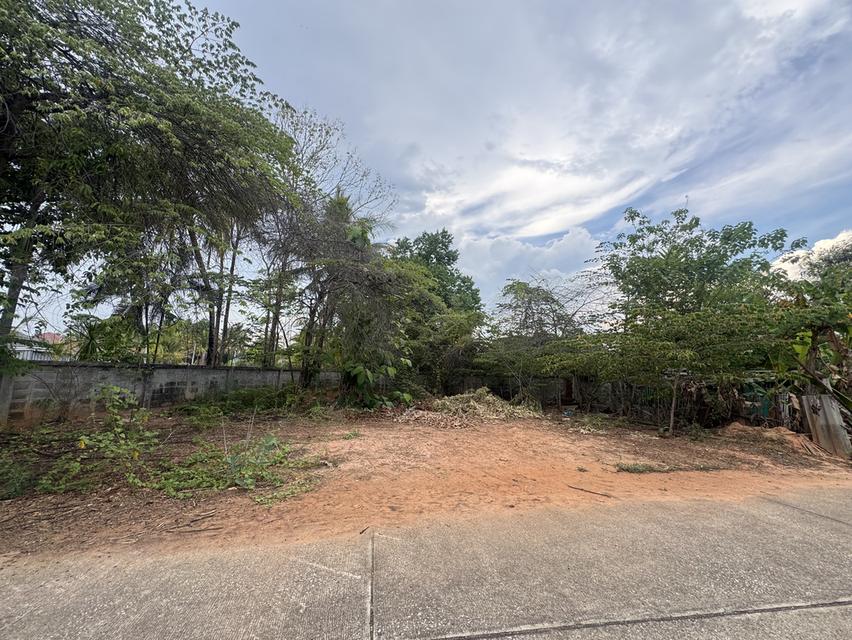 ที่ดิน เมืองเล็น อำเภอสันทราย เชียงใหม่ 3