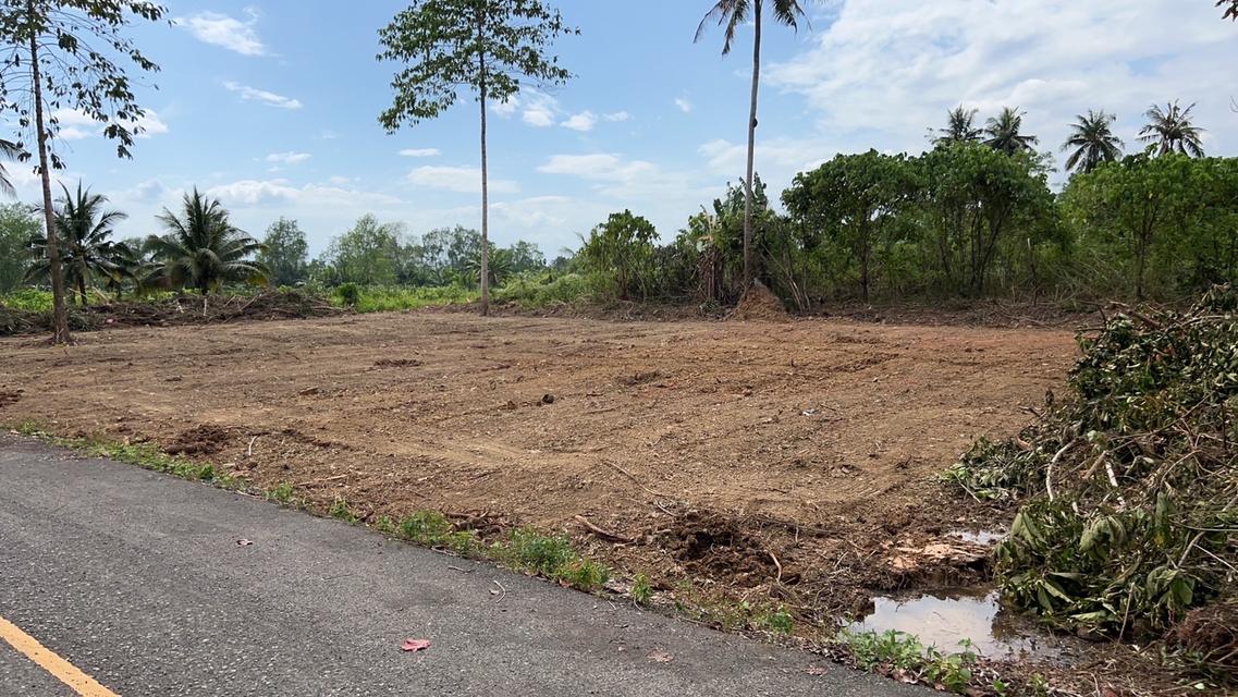 ขายที่ดินสุราษฎร์ธานี จำนวน 1 ไร่ ติดบึงขุนทะเล 1