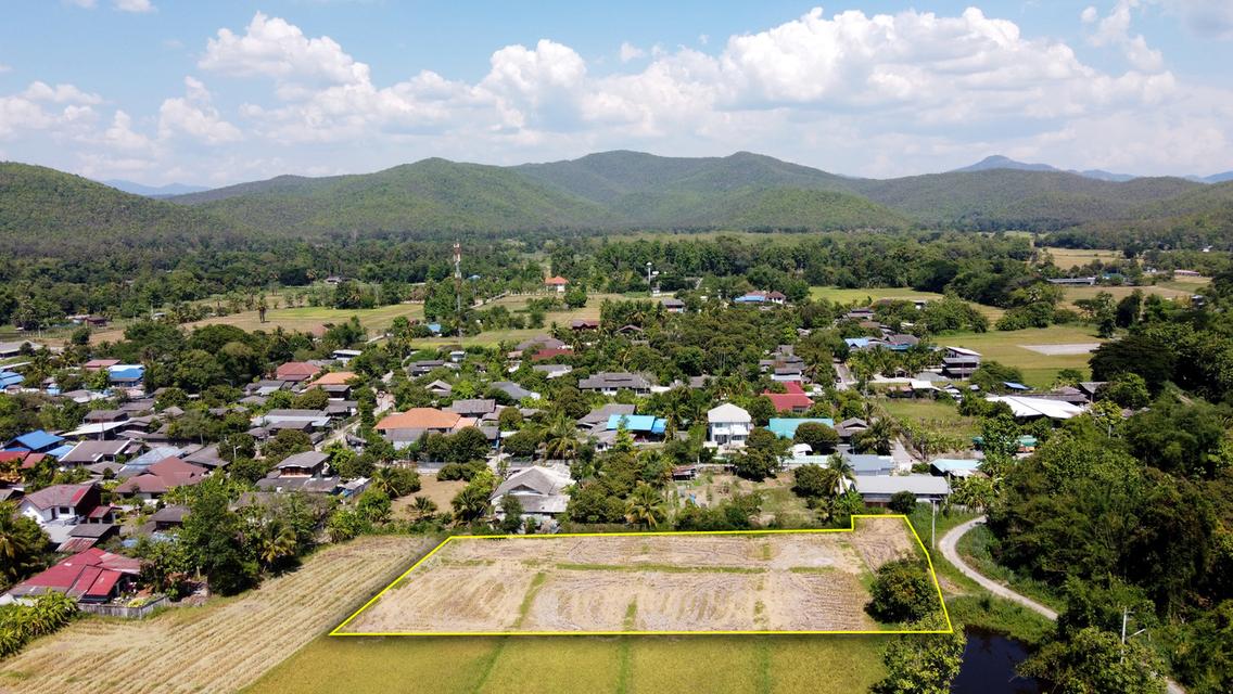 ที่นา  2-1-17 ไร่ วิวภูเขา น้ำประปาไฟฟ้าพร้อม 4