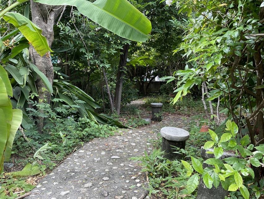 ขายบ้านพร้อมที่ดินใกล้ MRTบางซ่อน ซอยกรุงเทพ-นนท์ 27 8