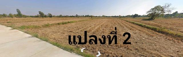 ขายที่ดินทำเลดี หน้าเทศบาล อ.พระยืน จ.ขอนแก่น