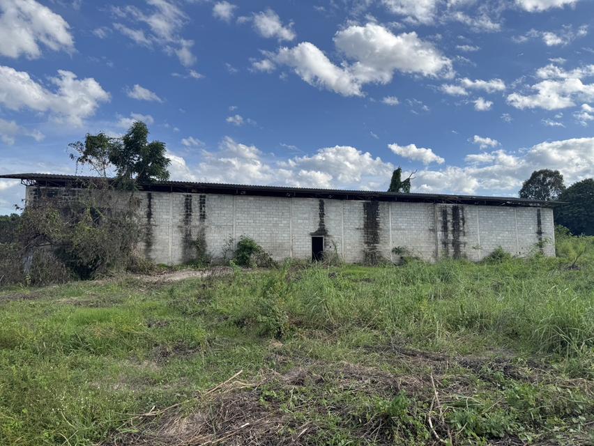 ขายที่ดินแปลงใหญ่อุดร100ไร่ 8