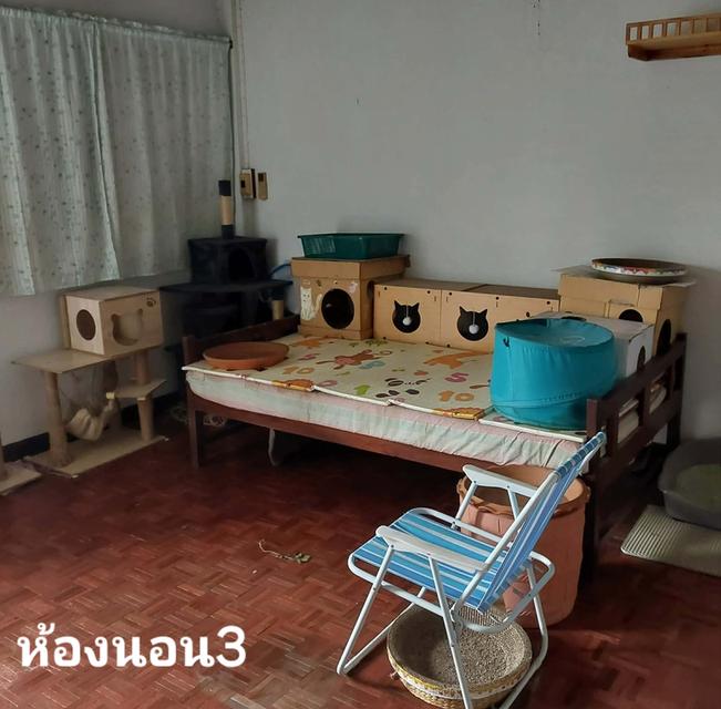 ทาวน์เฮ้าส์ หลักสี่ ดอนเมือง กรุงเทพ ใกล้สนามบินและศูนย์ราชการ โรงเรียนนานาชาติHarrow 10