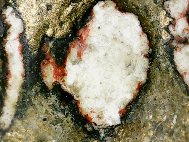 พระสมเด็จพิมพ์เกศไชโย 7 ชั้น กรุวังหน้า  12