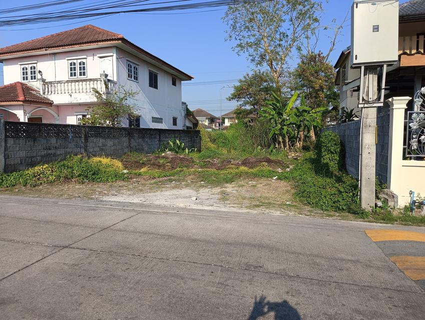 ขายที่ดิน 50 ตรว. ซอยรังสิต - นครนายก 59(เป๋าตุงกุ้งย่าง) เข้าซอยเพียง 800 เมตร ทำเลดีอยู่ในเขตชุมชน ที่สี่เหลี่ยม10x20เมตร เหมาะสร้างบ้านพักอาศัย 5