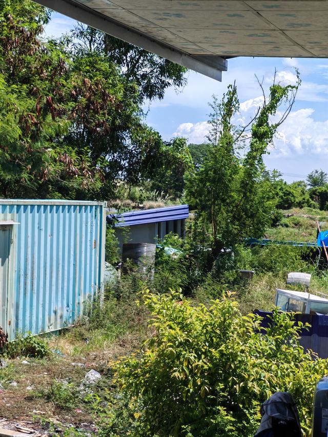 ขายที่ดิน2ไร่อยู่บ้านระกาศ​จังหวัดสมุทรปราการ​ 11