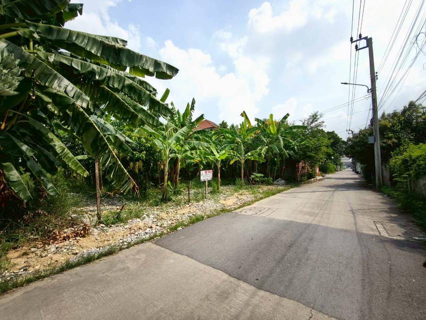 ที่ดินเปล่า เนื้อที่ 118 ตร.ว. ซอยนาวงประชาพัฒนา 9 ถนนนาวงประชาพัฒนา แขวงสีกัน เขตดอนเมือง กรุงเทพมหานคร 2