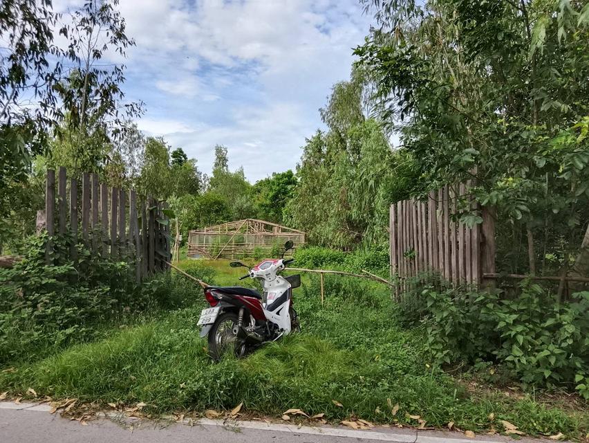 ที่ดิน อำเภอเถิน จังหวัดลำปาง 11