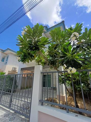 For Rent : Kathu, 2-story detached house, 3 Bedrooms 3 Bathrooms 2