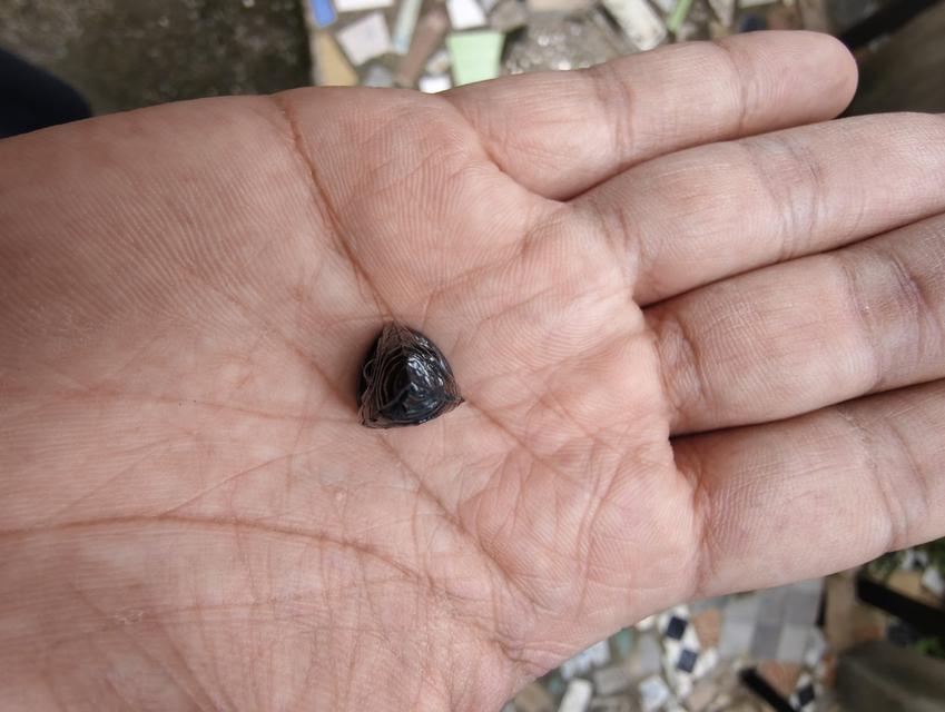 พระพรหม3หน้า หลวงพ่อขัน วัดสระตะโก รูปที่ 7