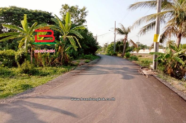 ที่ดินเปล่า ติดซอยสมหวัง เนื้อที่ 357 ตร.ว แขวงเจียระดับ เขตหนองจอก(เจียระดับ) กรุงเทพมหานคร 11