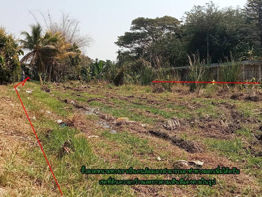 ที่ดินเปล่า/ไม่แบ่งขาย 6