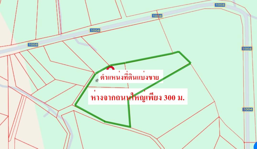 📍 ขายที่ดินแบ่งแปลงสวย โฉนดครุฑแดง เนื้อที่เริ่มต้น 500 ตรว.  ต.วังจันทน์ อ.สามเงา จ.ตาก 3