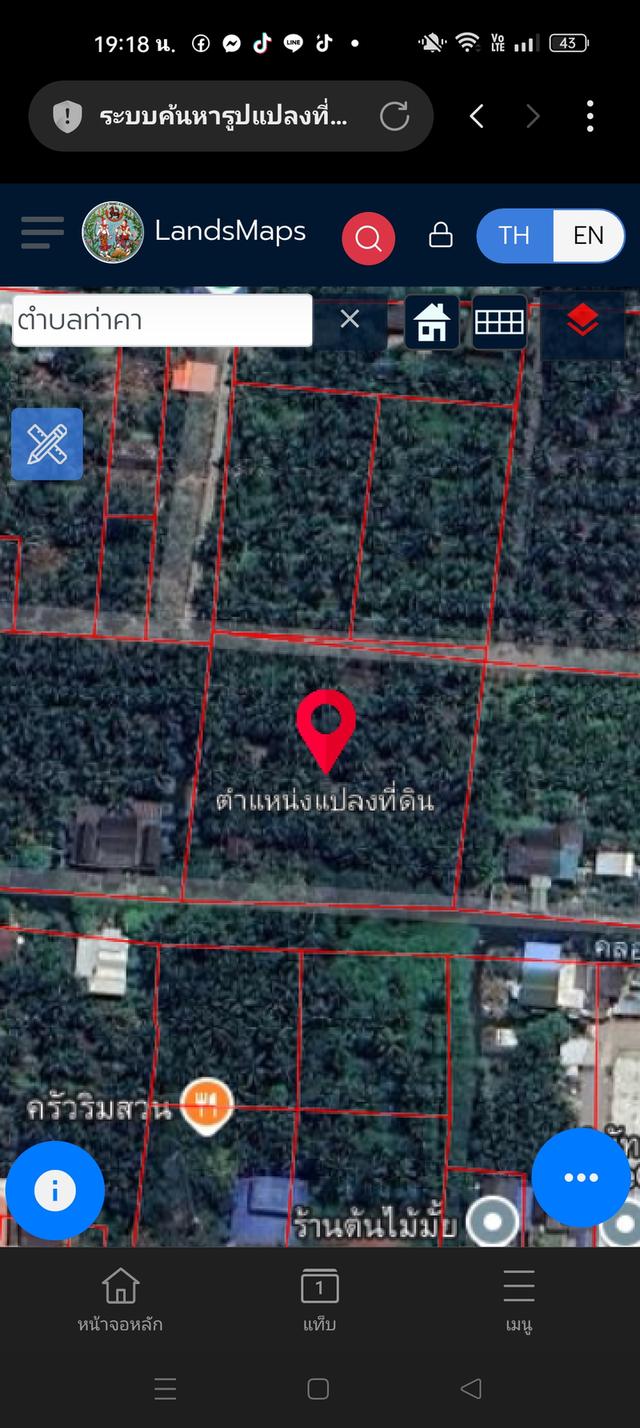 ที่ดินพร้อมสวนมะพร้าว เจ้าของขายเอง ติดคลองท่าคา  ติดถนนลาดยาง  3.0.80 1