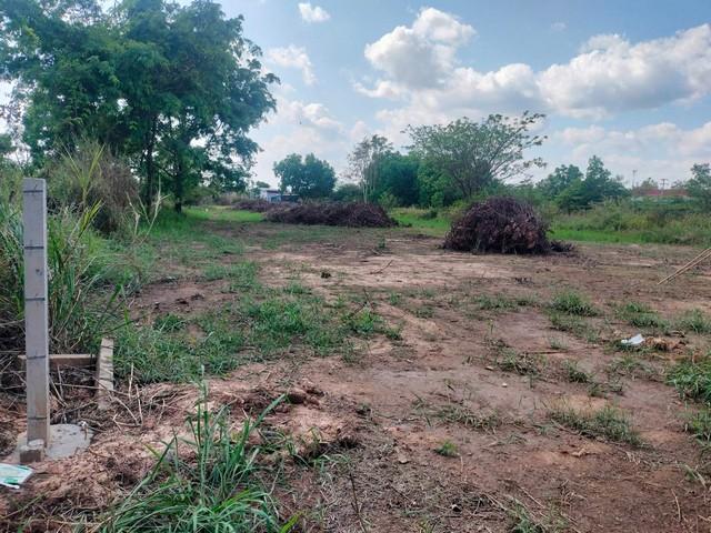 ขายที่ดินถมแล้ว 2 ไร่ ทำเลทอง หน้ามหาวิทยาลัยอุบลราชธานี เหมาะทำหอพัก / อพาร์ตเมนต์ 7