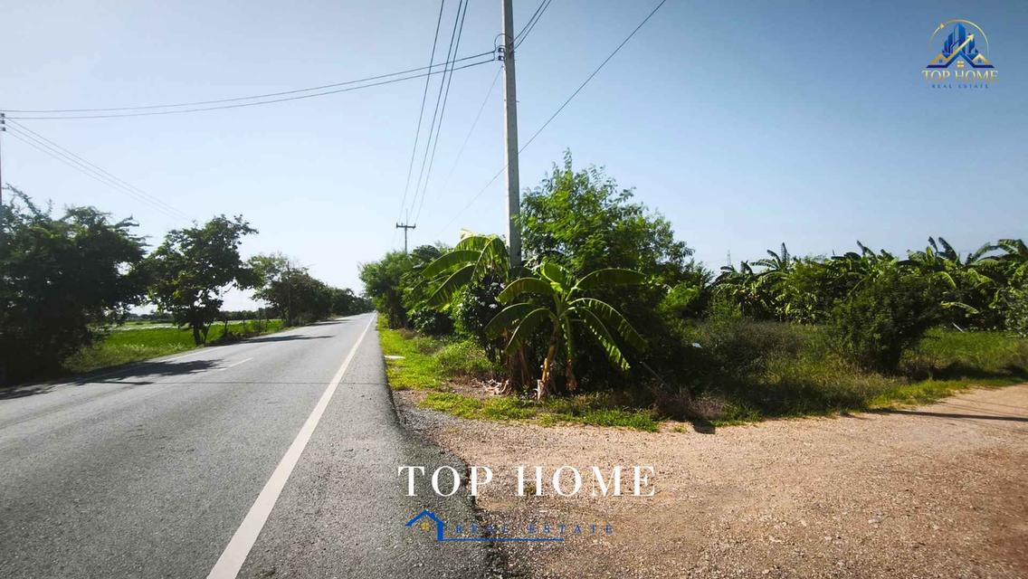 ขายที่ดินจัดสรรแปลงสวย ถมแล้ว ต.บางเตย อ.สามโคก จ.ปทุมธานี 7