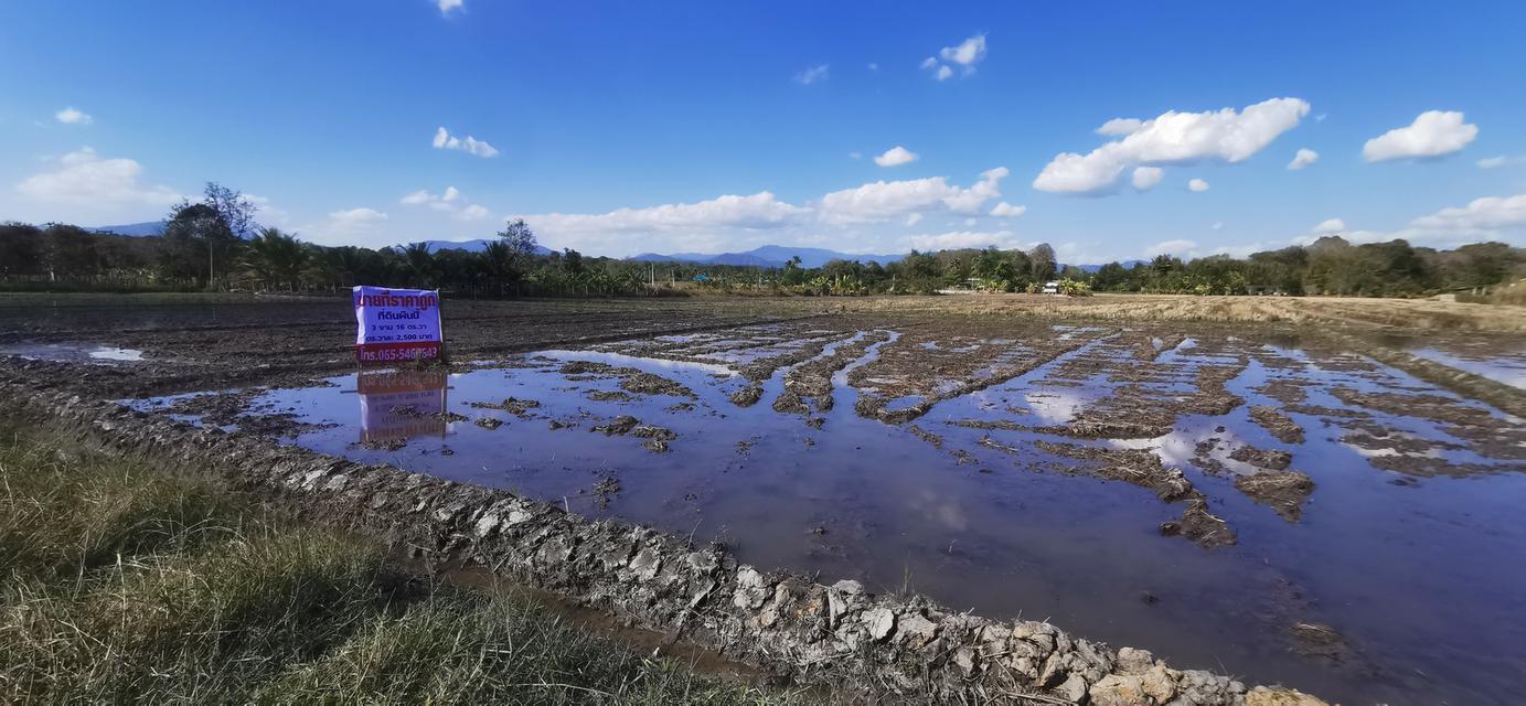 ขายที่ดินถูกหลังตลาดแม่มาลัย 3