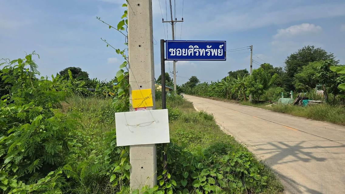 ชายด่วนที่ดินพร้อมโรงงาน 677 ตารางวา - ติดถนนสาธารณะ 2 ด้าน แปลงมุม ซอยศิริทรัพย์ ต.บ้านเกาะ อ.เมือง สมุทรสาคร 2