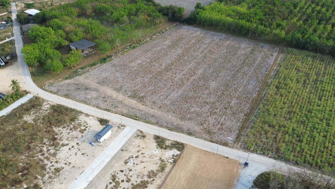 ที่ดินแบ่งขาย บางพระ – ห้วยกุ่ม อ.ศรีราชา จ.ชลบุรี 2