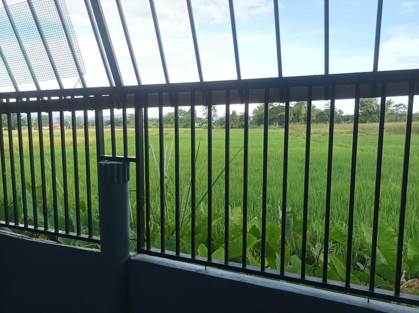 ขายบ้านพร้อมที่ดิน ต.ตลาดใหญ่ อ.ดอยสะเก็ด จ.เชียงใหม่ 7