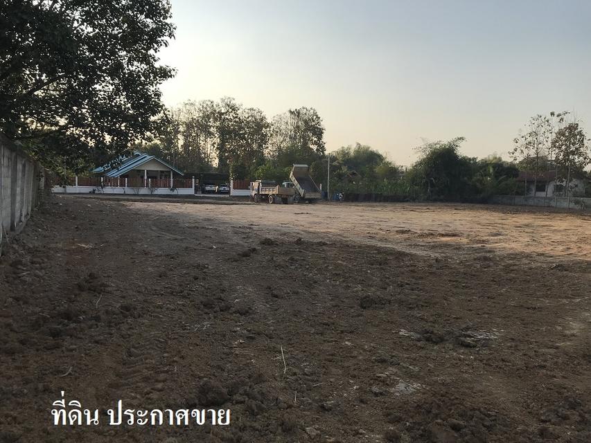 ขายที่ดินเปล่า จำนวน 1 ไร่ 2 งาน 2