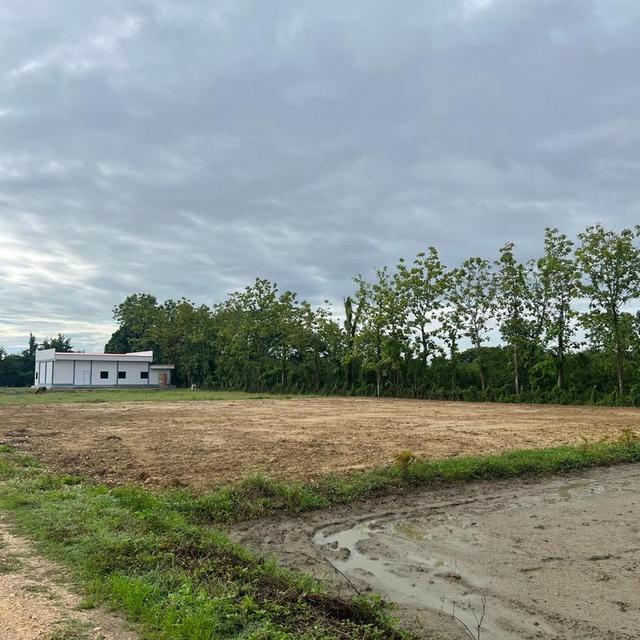 ขายที่ดิน เจ้าของขายเอง 400 ตารางวา ต.ชมภู อ.สารภี จ.เชียงใหม่ 3