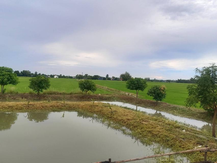 บ้านสวนสวย 7