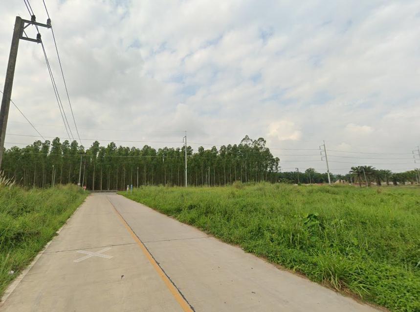 ขายที่ดินหนองเสือช้าง ท่าจาม 11 ไร่ ติดถนนชบ.3083 ติดถนนสาธารณะรอบด้าน ใกล้นิคมWHA3-5กม. อ.หนองใหญ่ ชลบุรี 8