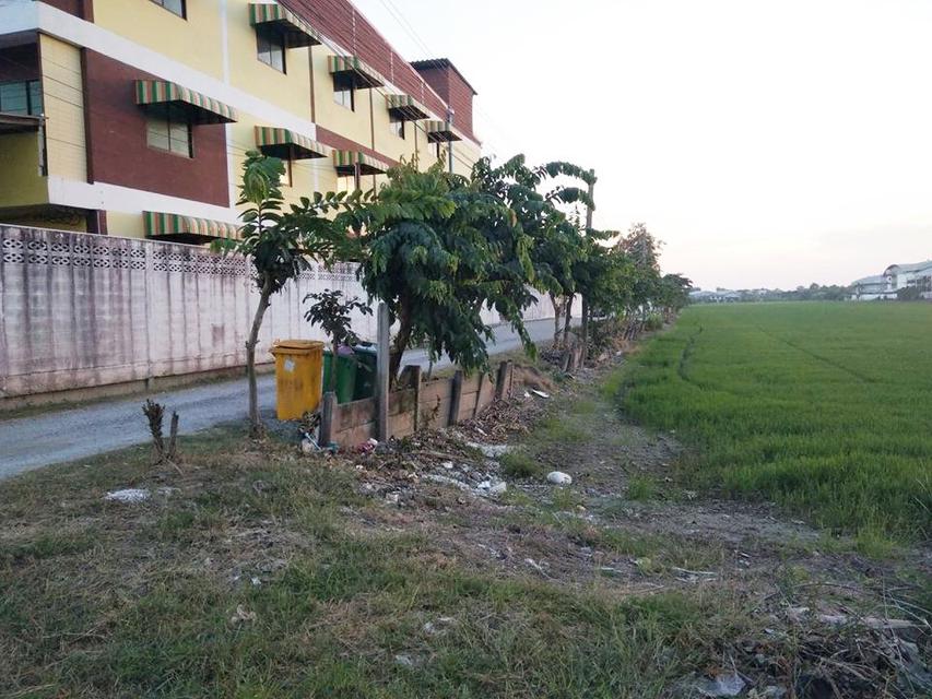 รูป ขายที่ดินไทรน้อย 12 ไร่ เขตบางบัวทอง นนทบุรี ติดถนนบ้านกล้วย-ไทรน้อย เส้น 1013 อยู่ในเขตพื้นที่สีเหลือง เห 2