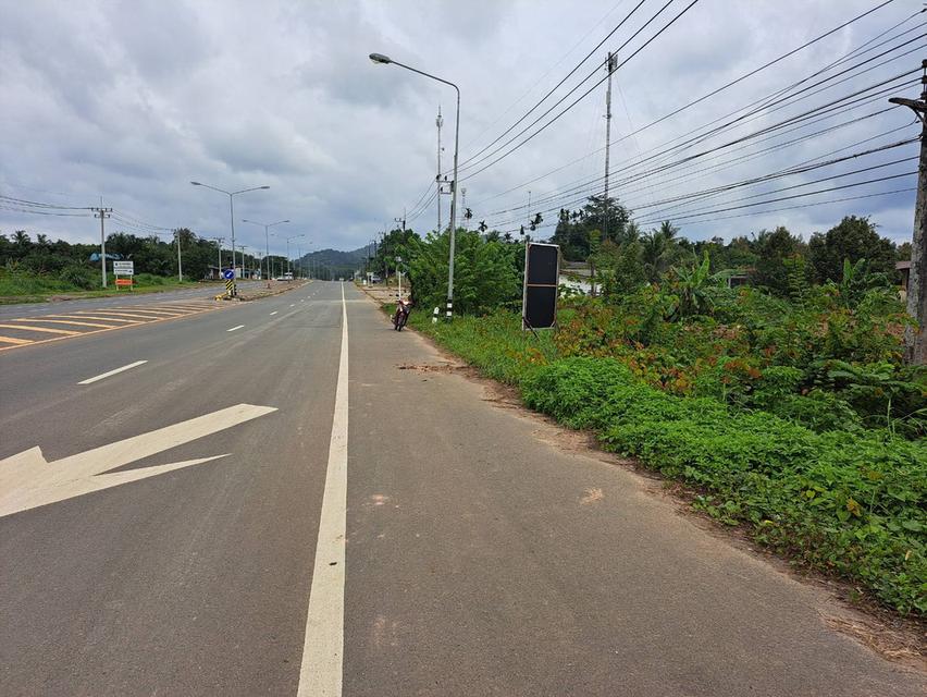 ที่ดิน 2